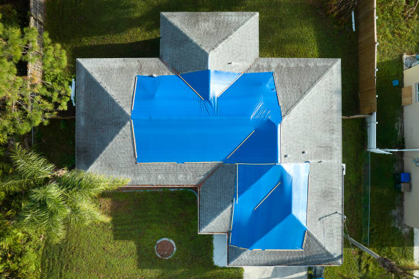 Best Solar Panel Roofing Installation  in Edgerton, KS
