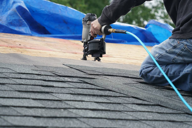 Best Roof Ventilation Installation  in Edgerton, KS